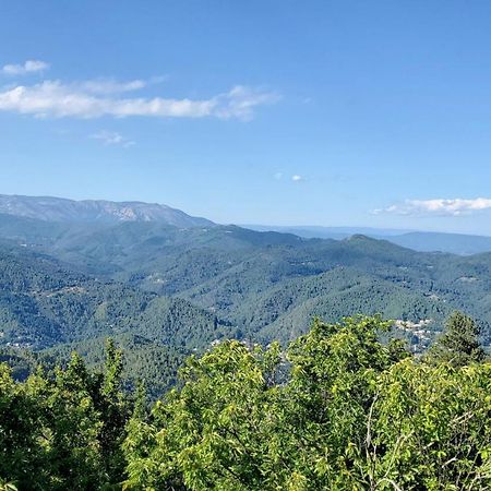 Gite De Combelebouze En Cevennes - Cosy, Confort Et Climatise - 3 Etoiles Saint-Privat-de-Vallongue 외부 사진