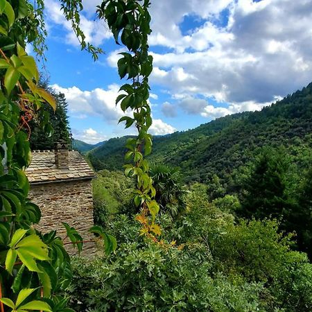 Gite De Combelebouze En Cevennes - Cosy, Confort Et Climatise - 3 Etoiles Saint-Privat-de-Vallongue 외부 사진