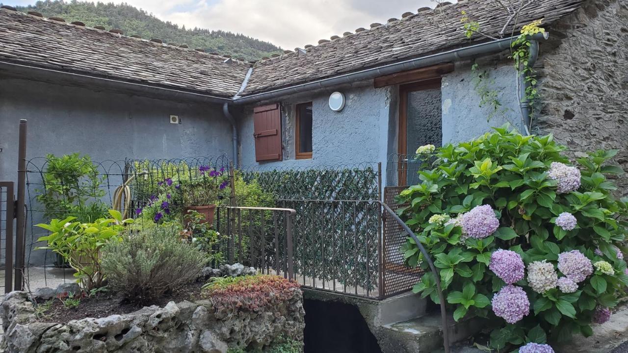 Gite De Combelebouze En Cevennes - Cosy, Confort Et Climatise - 3 Etoiles Saint-Privat-de-Vallongue 외부 사진