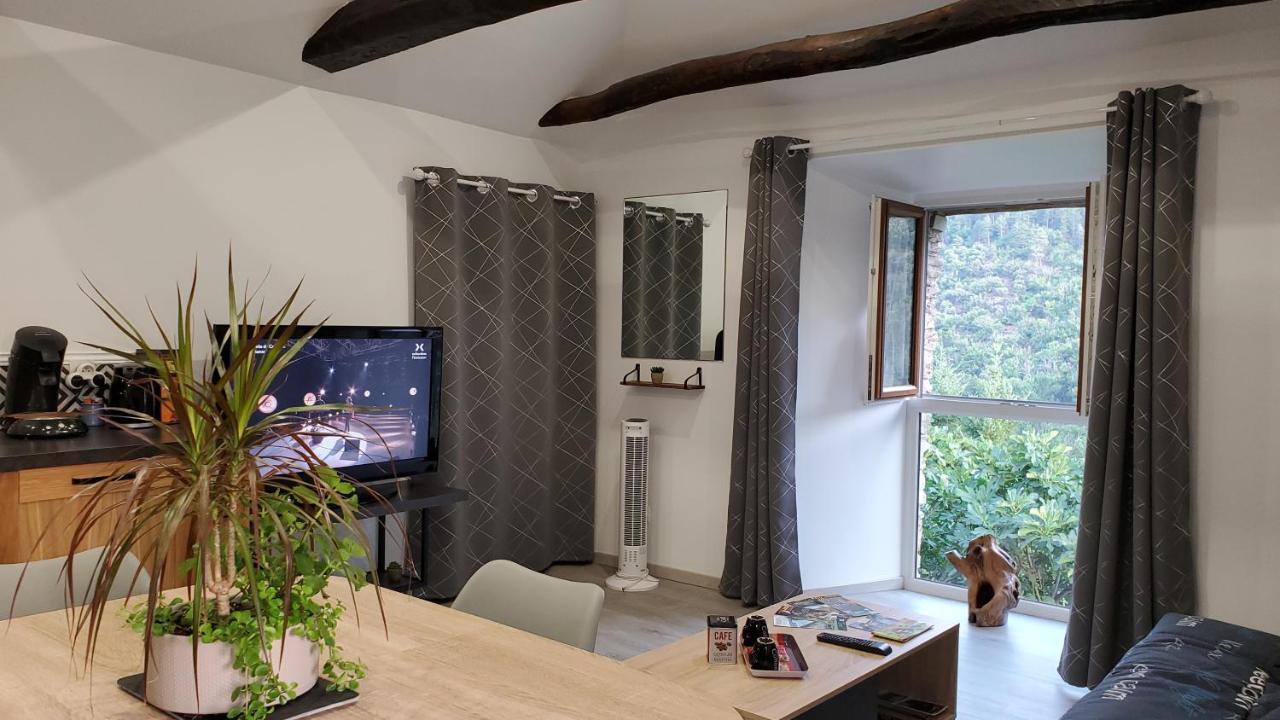 Gite De Combelebouze En Cevennes - Cosy, Confort Et Climatise - 3 Etoiles Saint-Privat-de-Vallongue 외부 사진