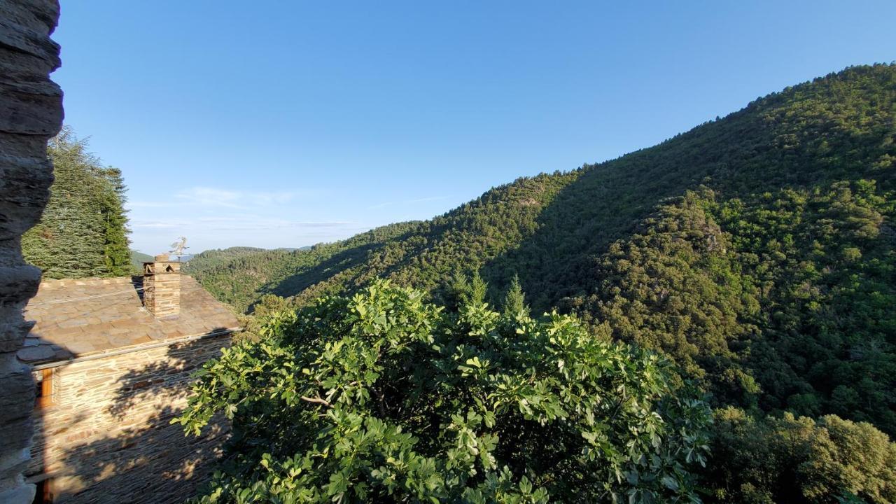 Gite De Combelebouze En Cevennes - Cosy, Confort Et Climatise - 3 Etoiles Saint-Privat-de-Vallongue 외부 사진