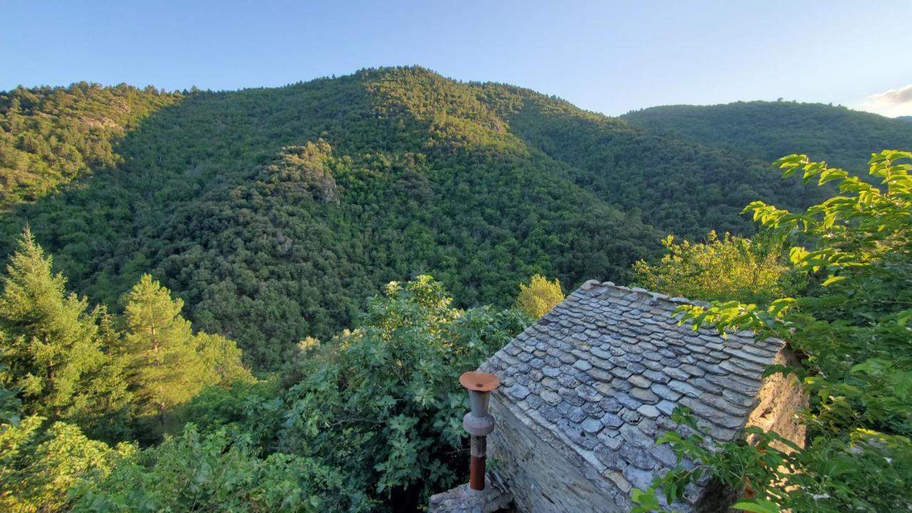 Gite De Combelebouze En Cevennes - Cosy, Confort Et Climatise - 3 Etoiles Saint-Privat-de-Vallongue 외부 사진