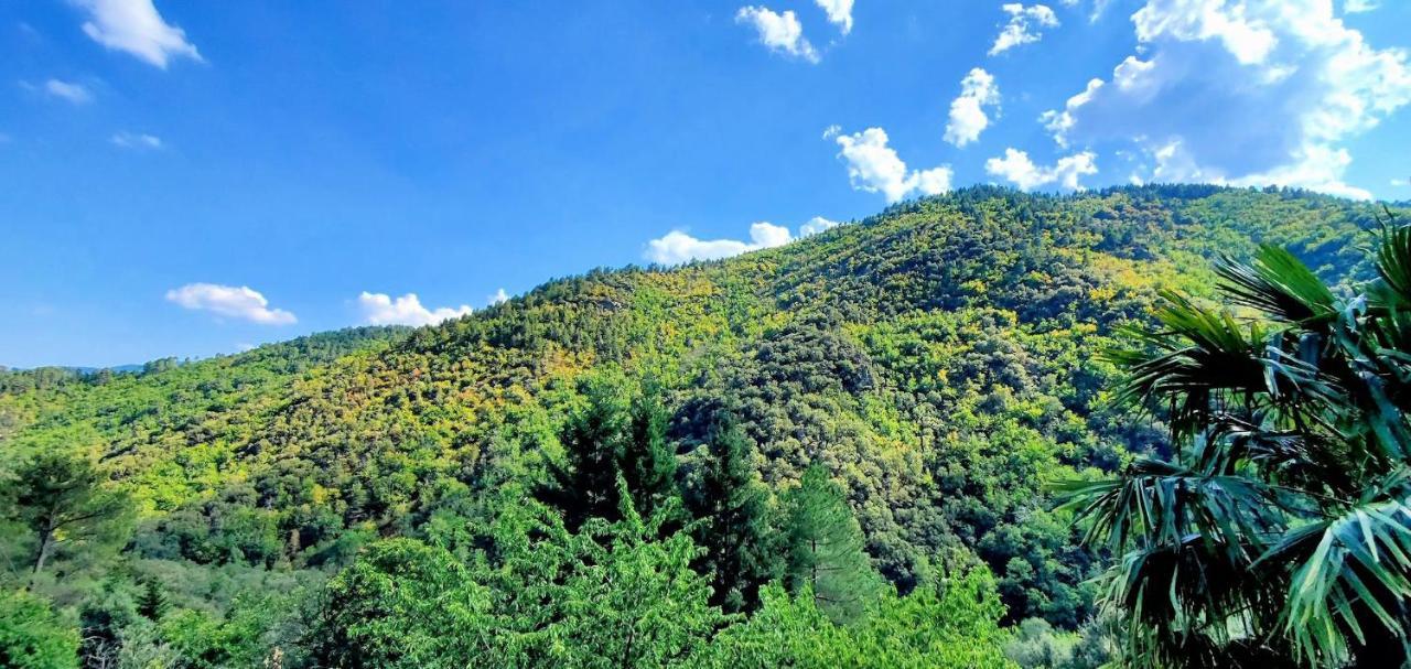 Gite De Combelebouze En Cevennes - Cosy, Confort Et Climatise - 3 Etoiles Saint-Privat-de-Vallongue 외부 사진