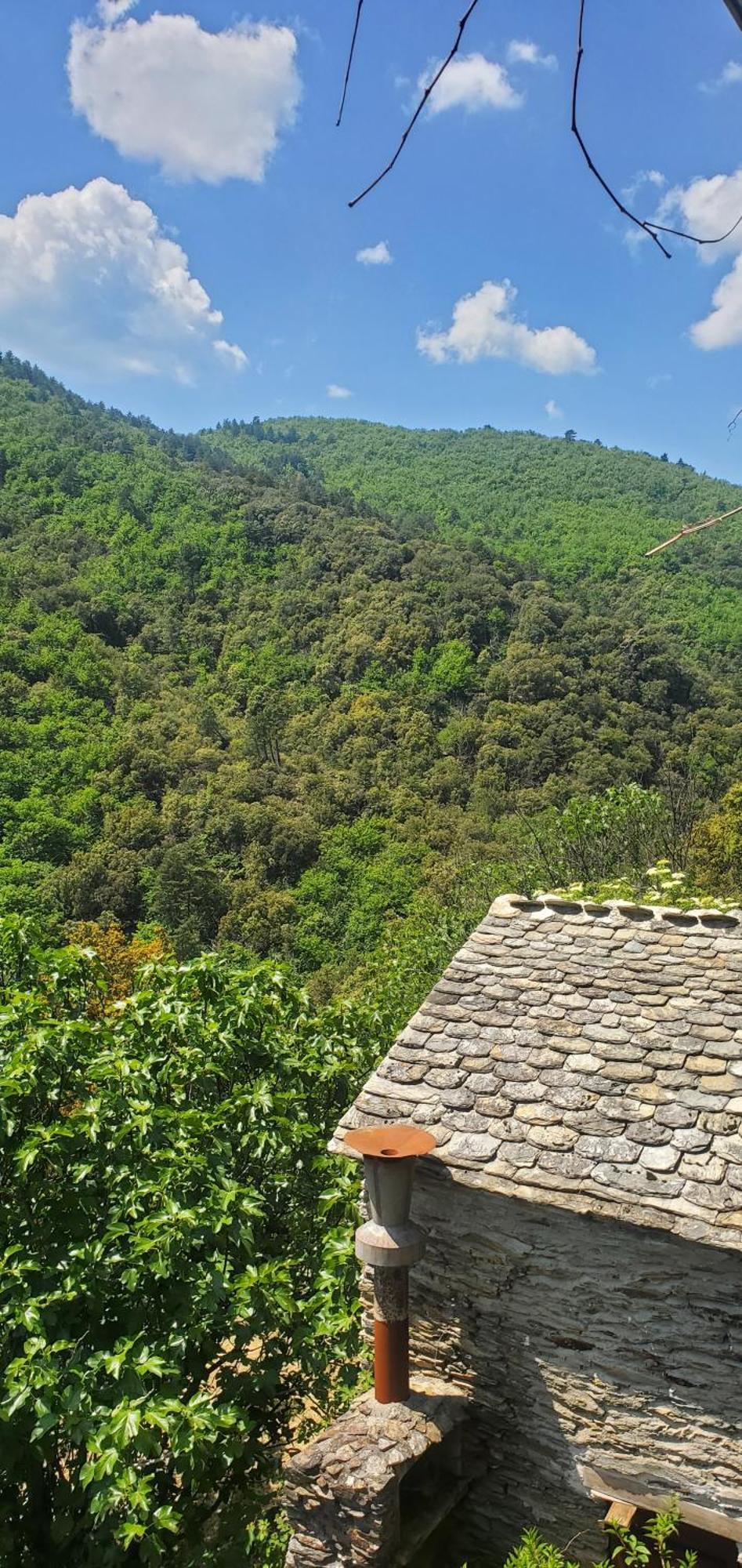 Gite De Combelebouze En Cevennes - Cosy, Confort Et Climatise - 3 Etoiles Saint-Privat-de-Vallongue 외부 사진