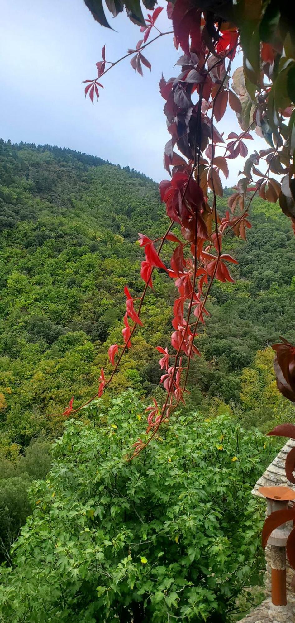 Gite De Combelebouze En Cevennes - Cosy, Confort Et Climatise - 3 Etoiles Saint-Privat-de-Vallongue 외부 사진