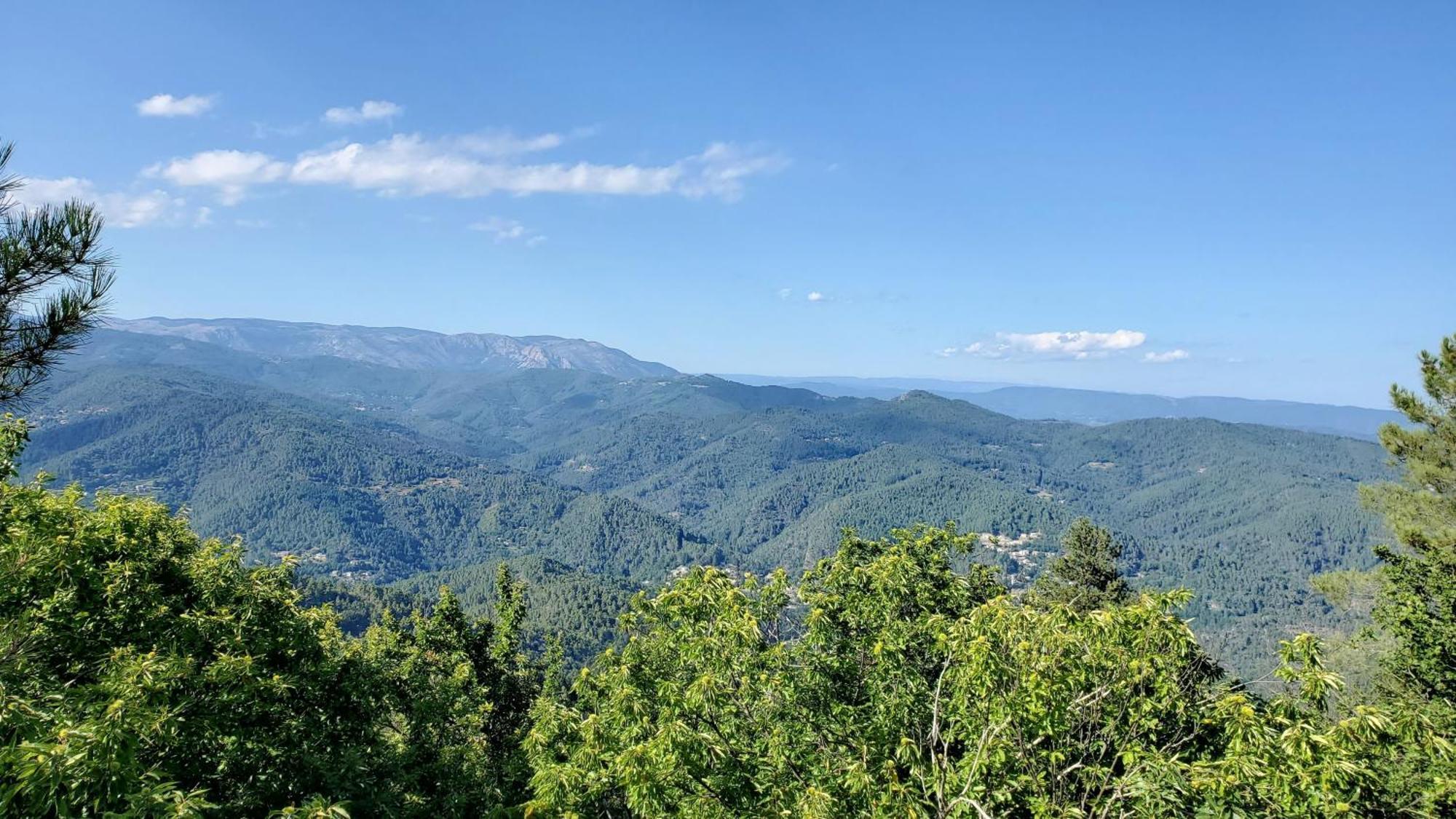 Gite De Combelebouze En Cevennes - Cosy, Confort Et Climatise - 3 Etoiles Saint-Privat-de-Vallongue 외부 사진