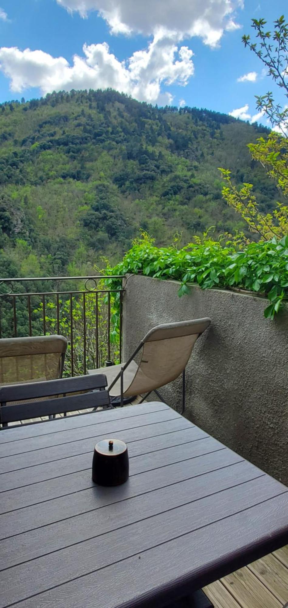 Gite De Combelebouze En Cevennes - Cosy, Confort Et Climatise - 3 Etoiles Saint-Privat-de-Vallongue 외부 사진